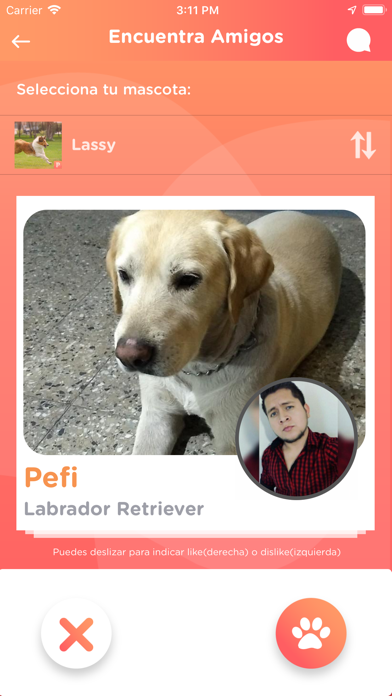 Petify. Love for Pets screenshot 3