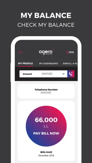 MyOgero screenshot 1