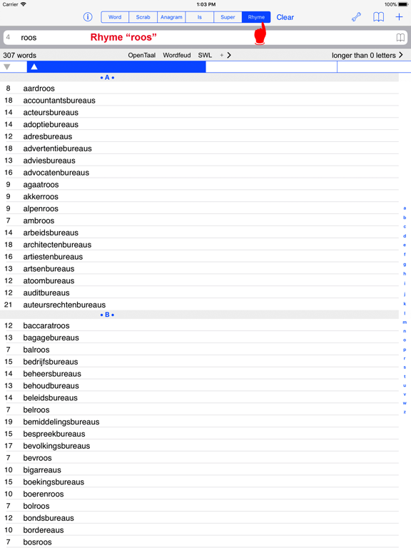 NL Woordvinder Nederlands PRO iPad screenshot 5 - Games app