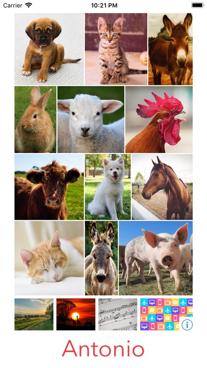 Antonio for Babies & Toddlers