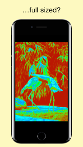 Flood - Photo Effect screenshot