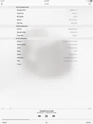 flac player айпад изображения 1