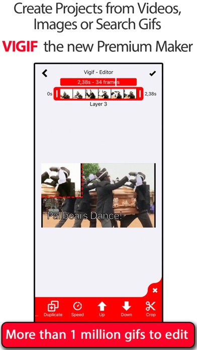 GIF Editor - Vigifのおすすめ画像1