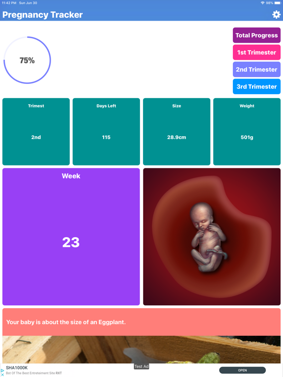 Pregnancy Tracker Your Journey iPad screenshot 5 - Medical app