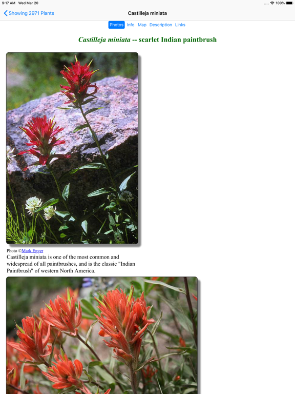 Utah Wildflowers iPad screenshot 4 - Education app