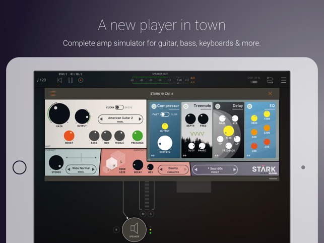 STARK Amp Simulator