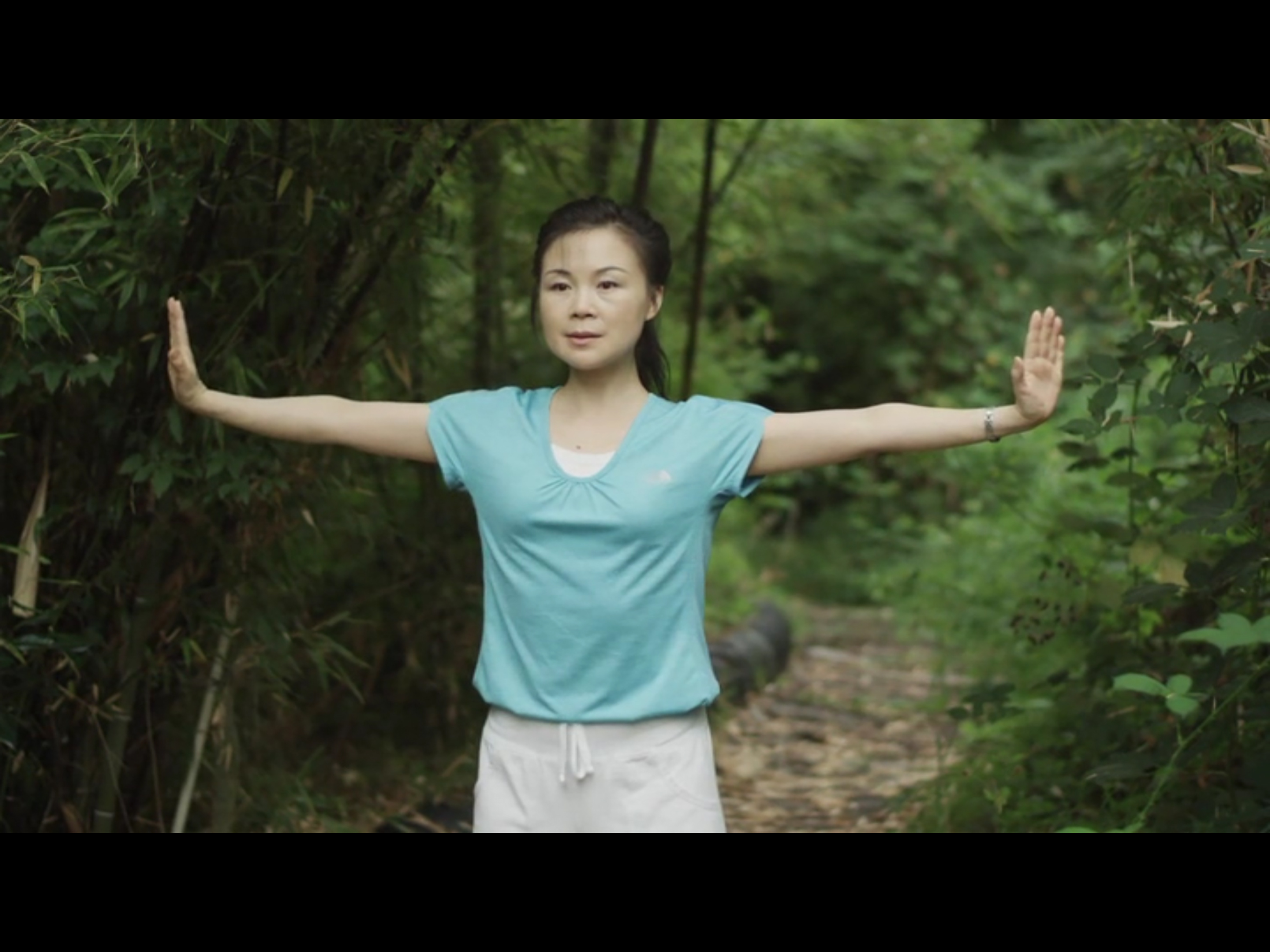 Qigong for Cancer (YMAA)