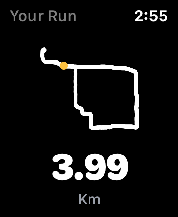 Pace Up screenshot 5