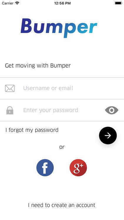 Bumper Rides - Driver