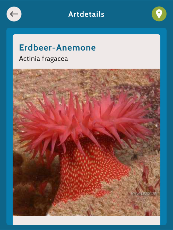 Screenshot #5 pour Beach Explorer