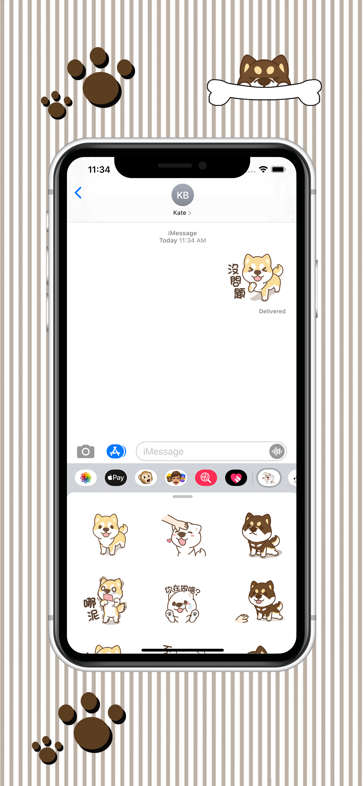 Shiba Chai Chai Loves to Play! screenshot 4