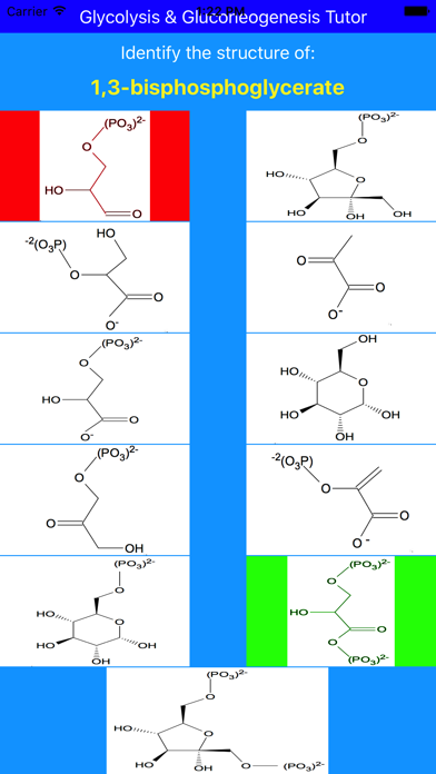 Glycolysis Glucogenesis Tutor Screenshot