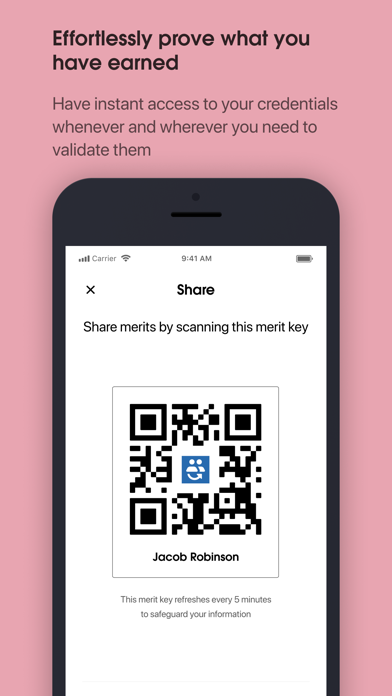 Merit Screenshot