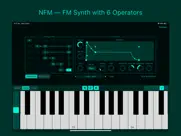 nfm – auv3: fm synth айпад изображения 1