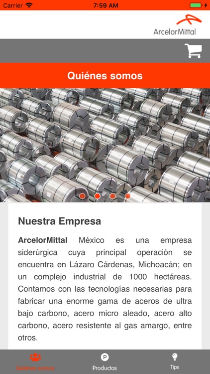 ArcelorMittal México