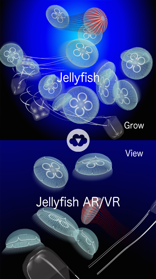 #5. Jellyfish AR/VR (iOS) 由: KENSHI DOI