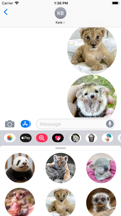 Animal Babies Sticker Pack