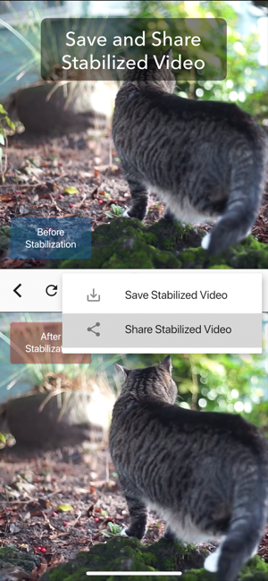 ‎Deshake Video - Stabilization Screenshot