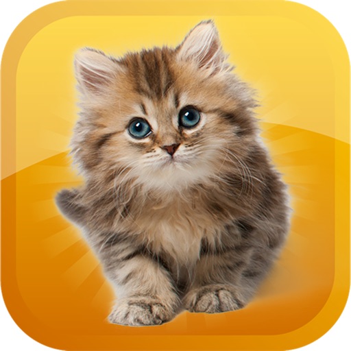 Cat-Emojis Stickers icon