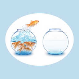 Fish Tank Replacement Record