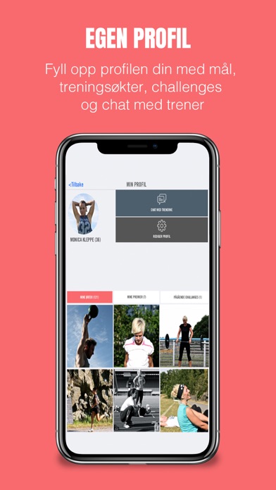 IdealForm Screenshot