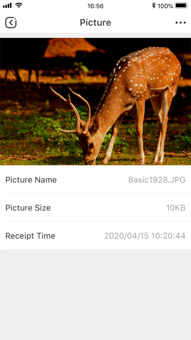 Screenshot #2 pour Hunting Cloud