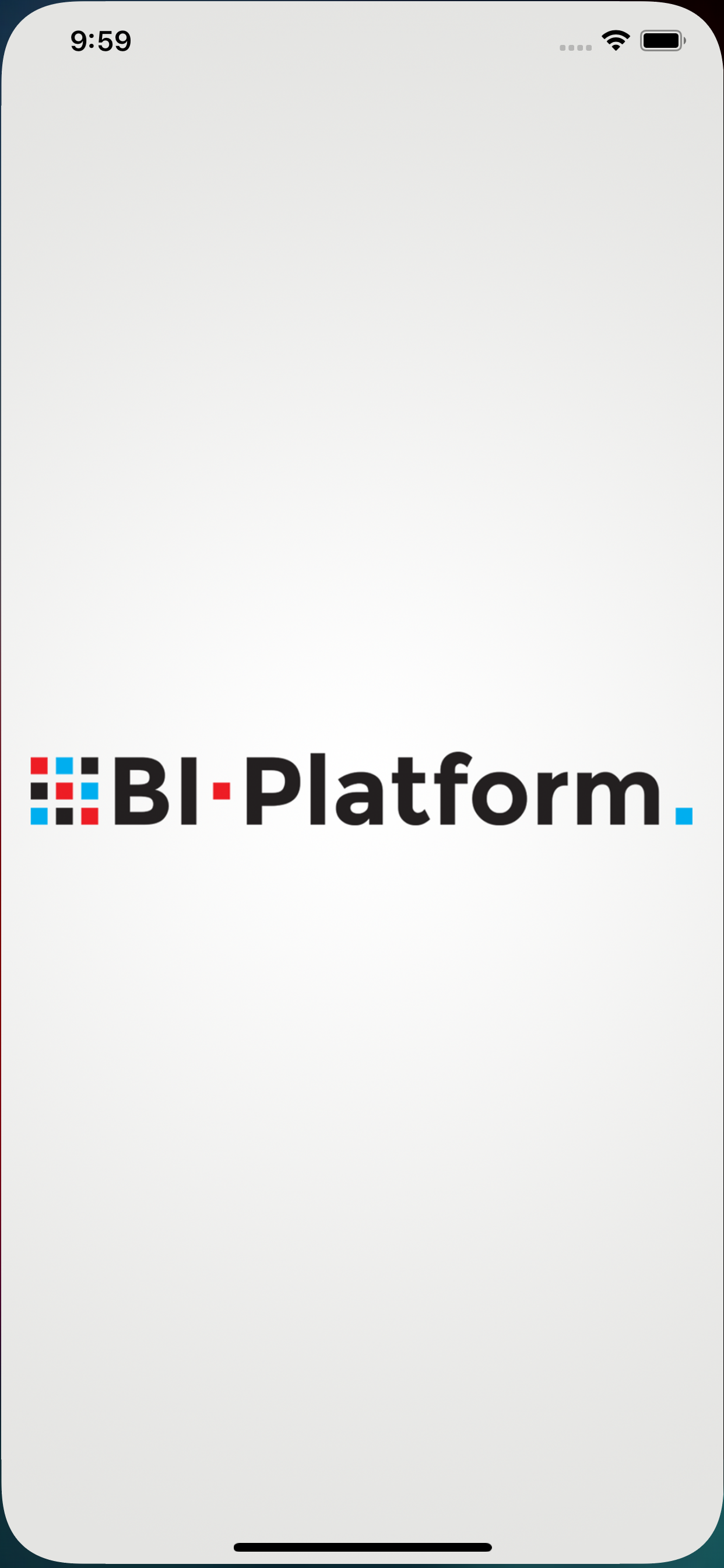 BI-Platform screenshot 5
