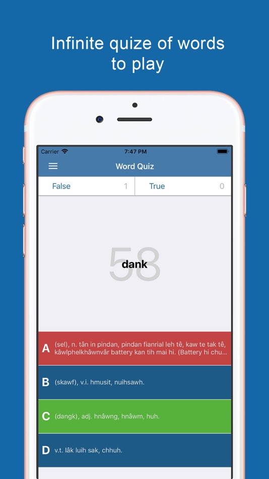 #4. Mizo Dictionary & Translator (iOS) Podle: Puju Dekivadiya