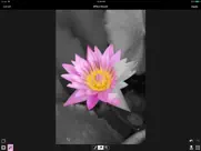 acdsee pro ipad bildschirmfoto 3
