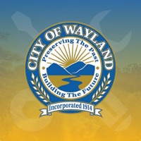 Wayland Reporting