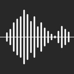 Recorder - advanced audio