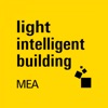 Light Intelligent Building MEA