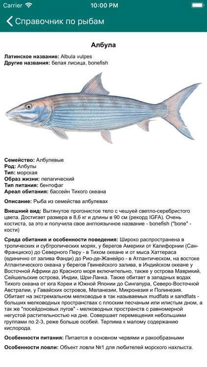 Клёвая рыбалка screenshot-5