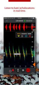 Echo Meter Touch Bat Detector screenshot #2 for iPhone