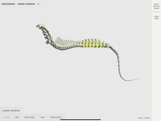 Screenshot #5 pour Dog Skeleton 3D Atlas
