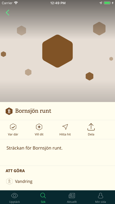 Gröna kilar Screenshot