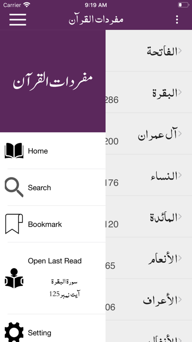 Screenshot #2 pour Mufradat ul Quran | Urdu