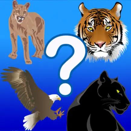 The Odd One Out Cheats
