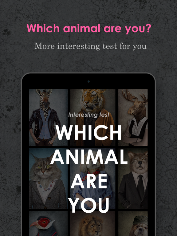 Animal, Hidden Power, Dog Testのおすすめ画像1