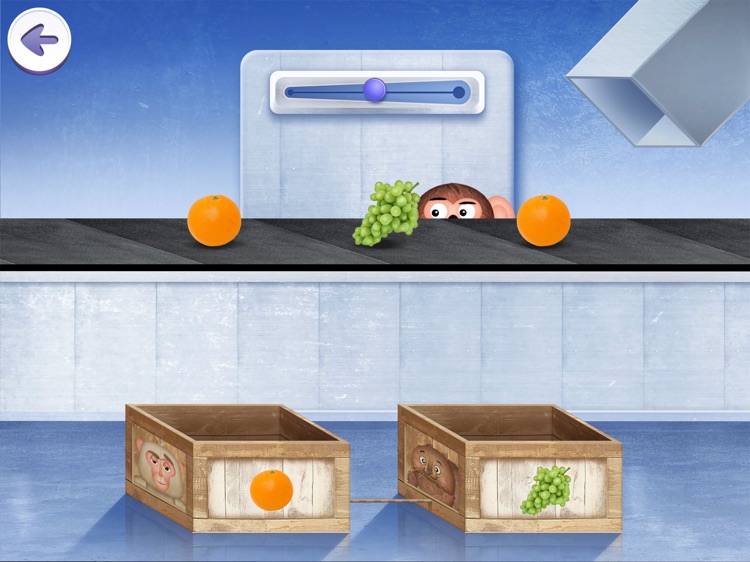 Polyglots: Zoo (Vietnamese) screenshot-7