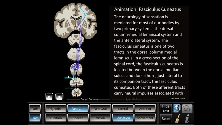 Pathway Tract ID screenshot-4
