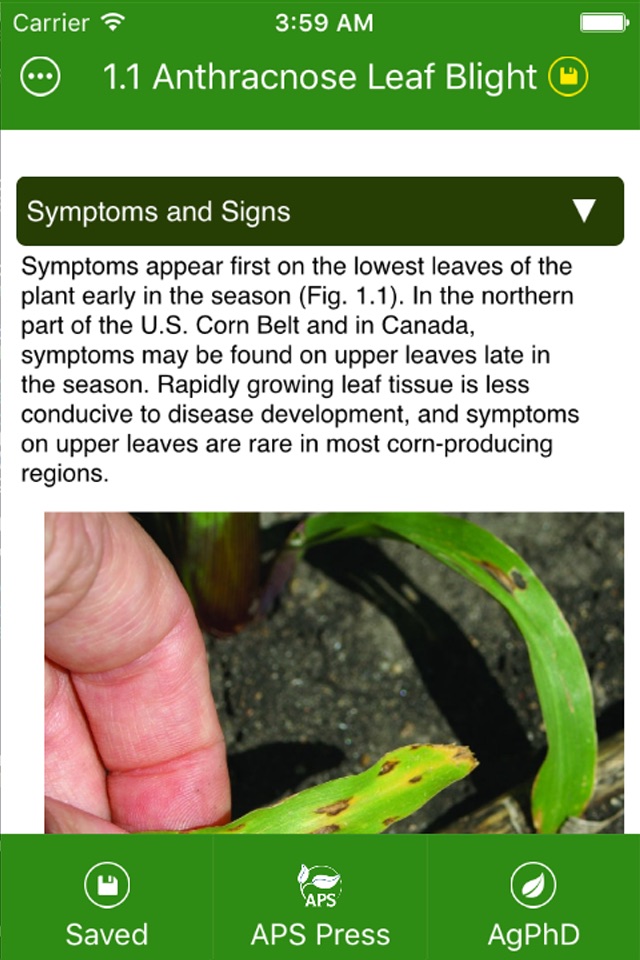 Corn Diseases screenshot 4