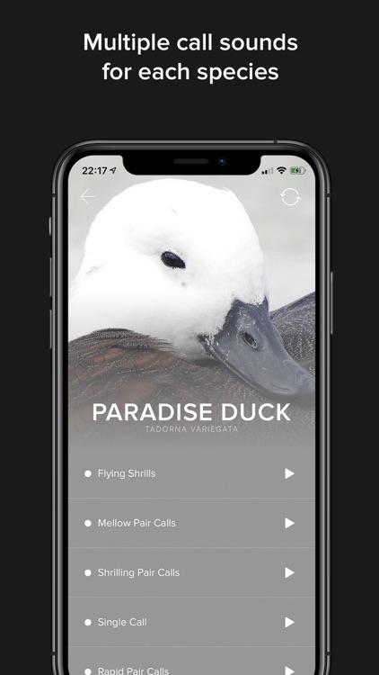 Game Calls NZ screenshot-4