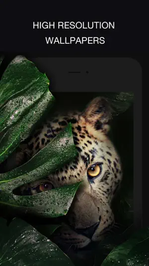 24KLiveWallpapers screenshot 2