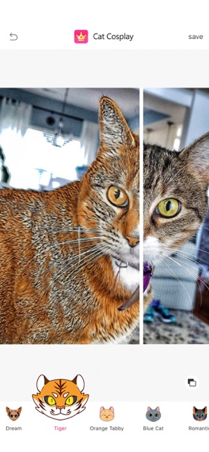 Cat Cosplay(圖2)-速報App