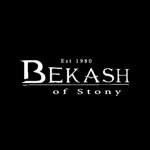 Download Bekash app