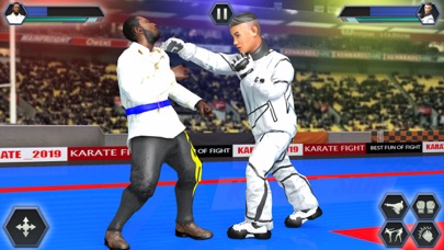 Real Karate Fight Punch 2020のおすすめ画像2