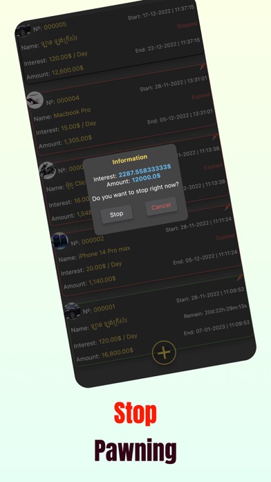 Pawn | Loan Screenshot