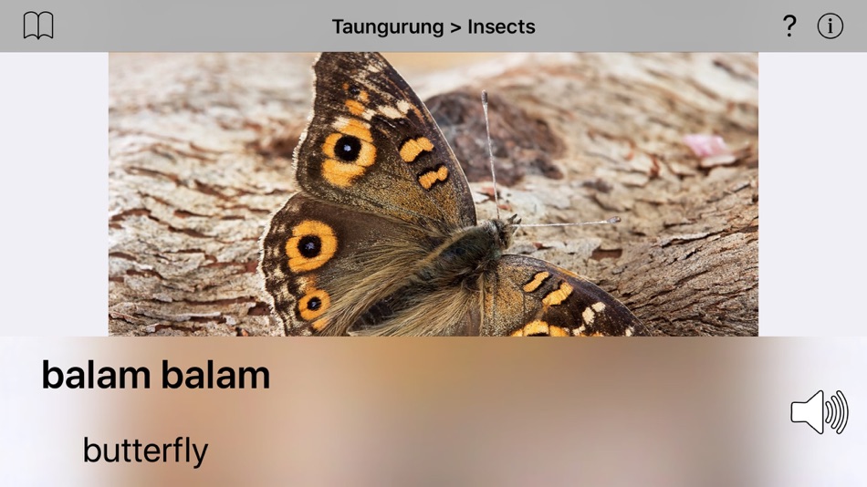 #2. Taungurung Language - Intro (iOS) 由: Miromaa Aboriginal Language and Technology Centre