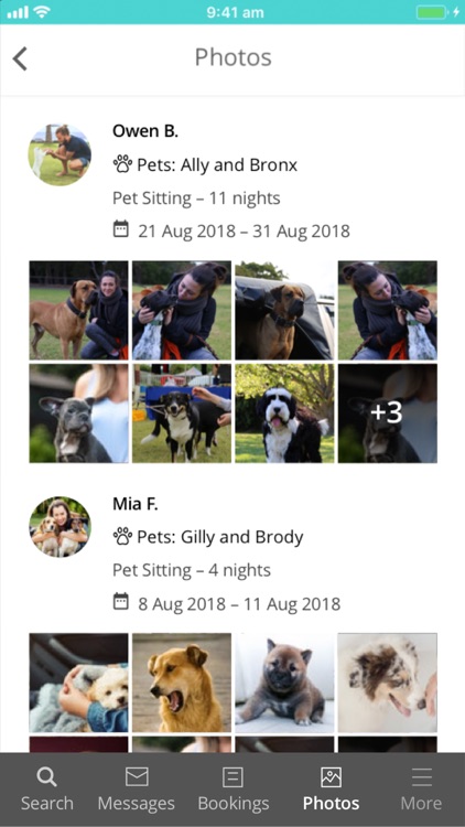 Mad Paws - Pet Sitting Service screenshot-3